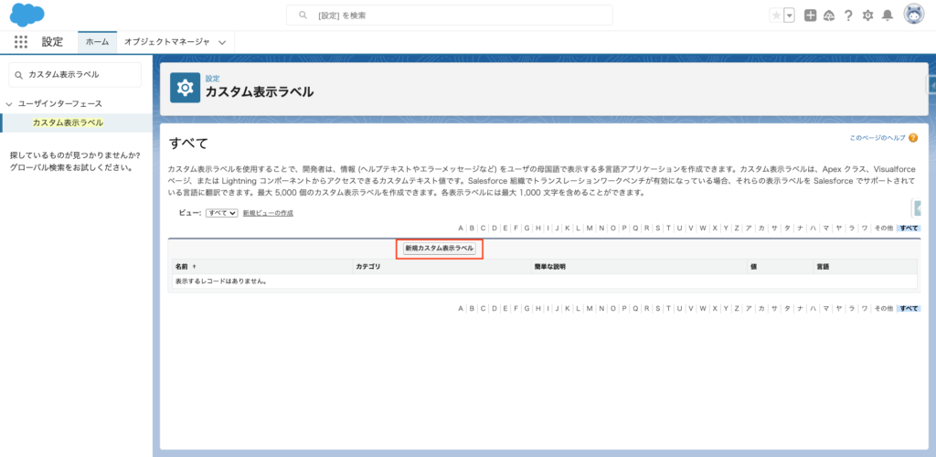「新規カスタム表示ラベル」をクリックする画面